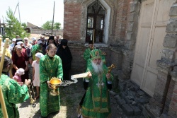 ����������� 196